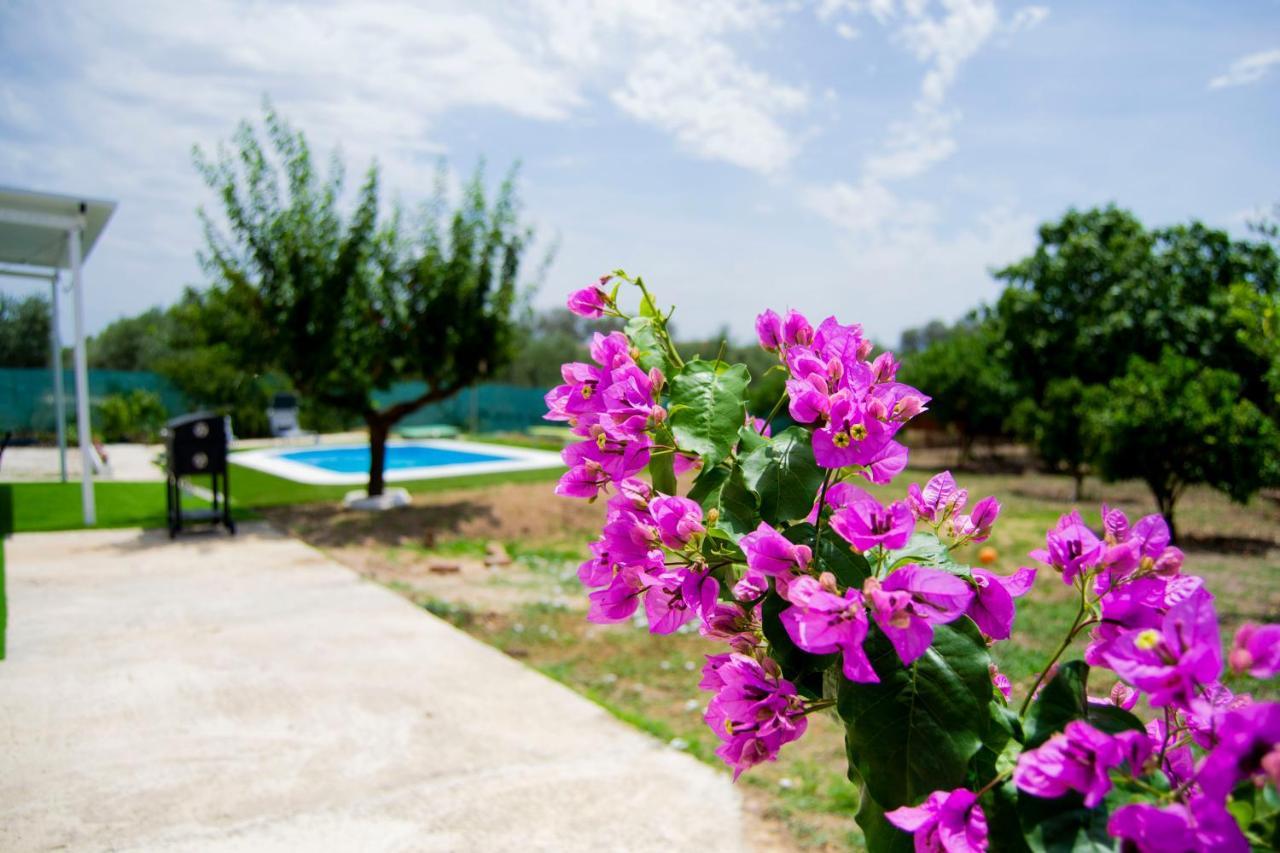 La Casa Del Carreron Villa Монтийя Екстериор снимка